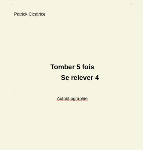 Capture du 2025-03-13 12-49-41.png