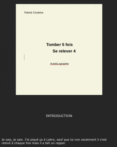 Capture du 2025-06-04 11-46-32.png