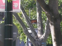 DSCN7670.JPG