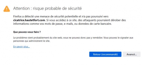 FIREFOX.JPG